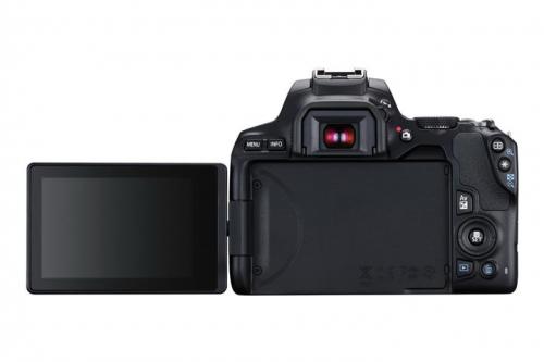  دوربین کانن Canon EOS 250D 18-55 STM  